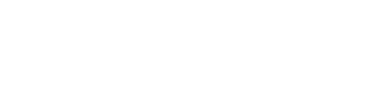 spacefill_full_logo_white